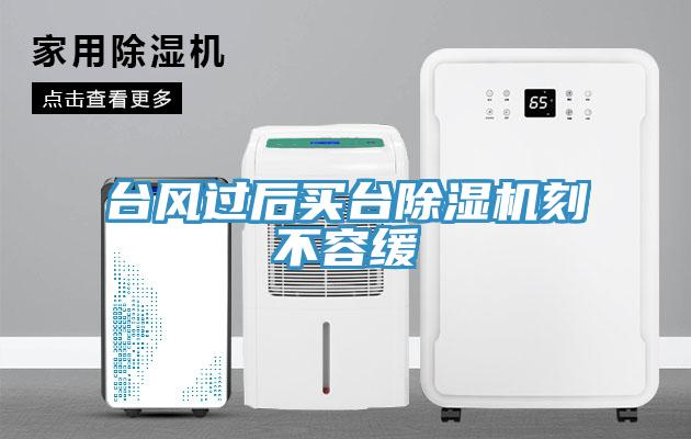 臺風過后買臺除濕機刻不容緩