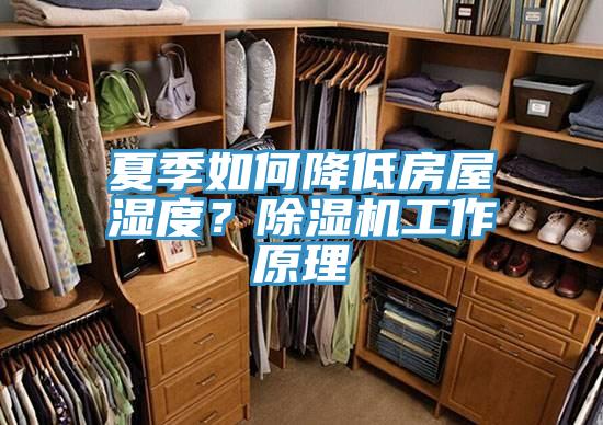 夏季如何降低房屋濕度？除濕機工作原理