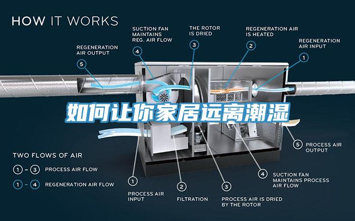 如何讓你家居遠離潮濕