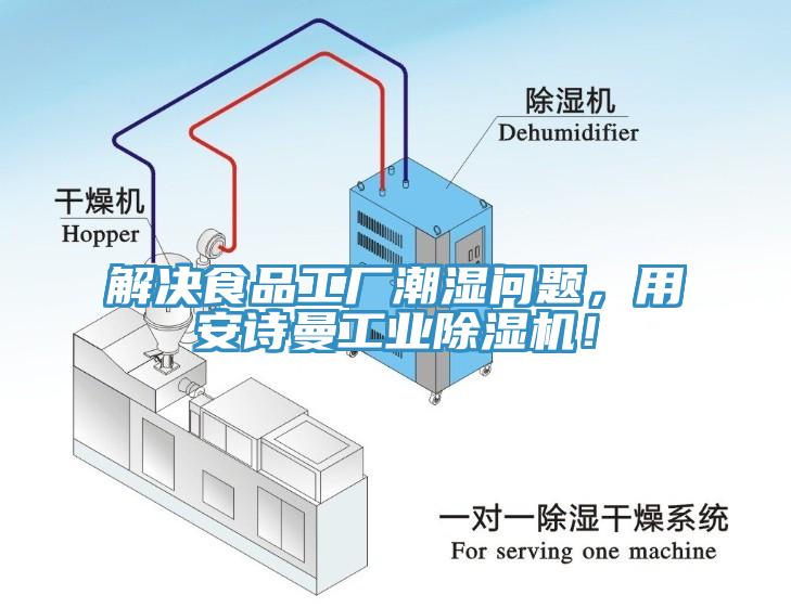 解決食品工廠潮濕問題，用安詩曼工業(yè)除濕機！