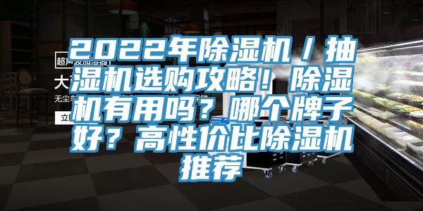 2022年除濕機／抽濕機選購攻略！除濕機有用嗎？哪個牌子好？高性價比除濕機推薦