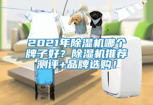 2021年除濕機哪個牌子好？除濕機推薦測評+品牌選購！