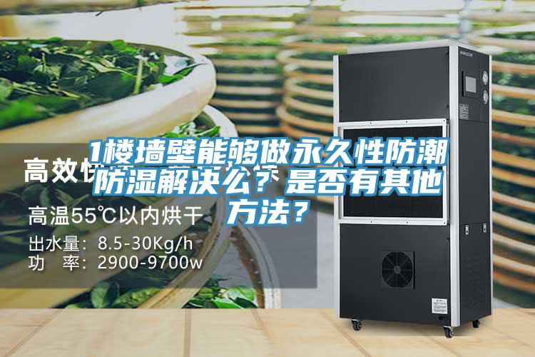 1樓墻壁能夠做永久性防潮防濕解決么？是否有其他方法？