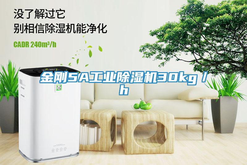 金剛5A工業除濕機30kg／h