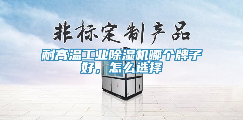 耐高溫工業(yè)除濕機(jī)哪個(gè)牌子好，怎么選擇