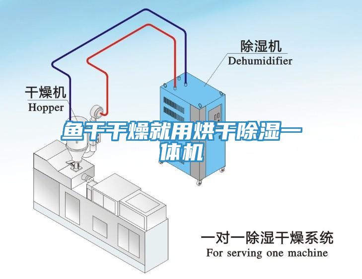 魚干干燥就用烘干除濕一體機