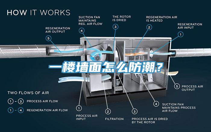 一樓墻面怎么防潮？