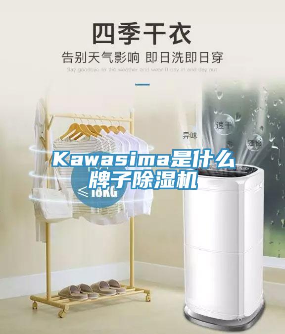 Kawasima是什么牌子除濕機(jī)