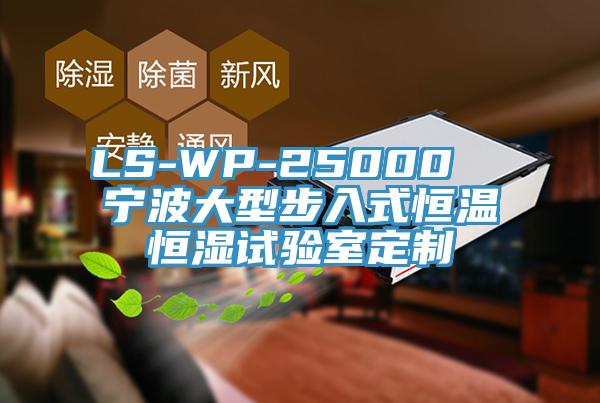 LS-WP-25000  寧波大型步入式恒溫恒濕試驗室定制