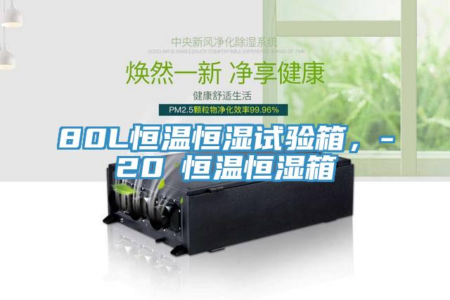 80L恒溫恒濕試驗箱，-20℃恒溫恒濕箱