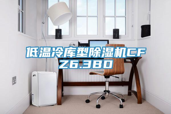 低溫冷庫型除濕機CFZ6.3BD