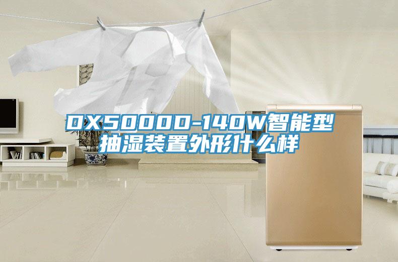 DX5000D-140W智能型抽濕裝置外形什么樣