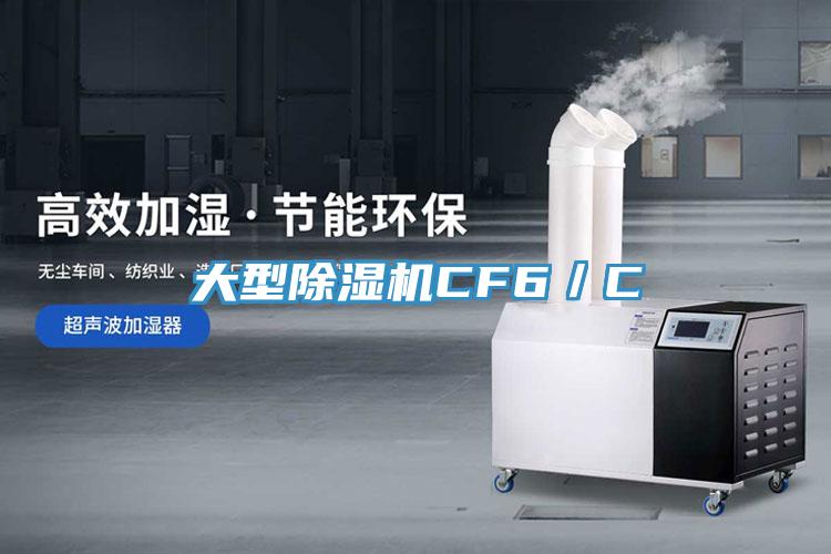 大型除濕機CF6／C