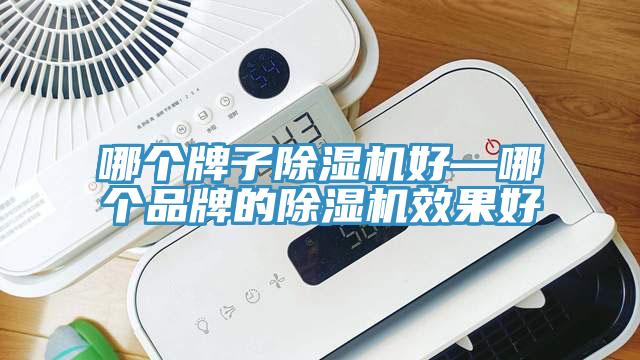 哪個牌子除濕機好—哪個品牌的除濕機效果好