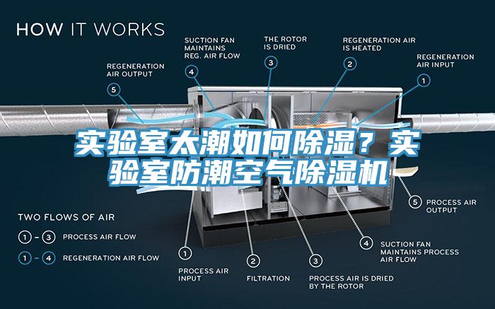 實(shí)驗(yàn)室太潮如何除濕？實(shí)驗(yàn)室防潮空氣除濕機(jī)