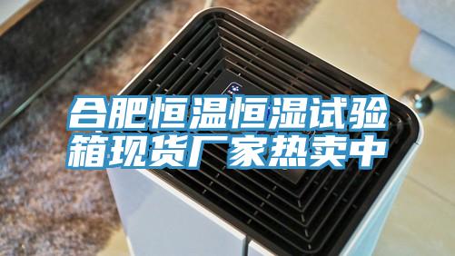 合肥恒溫恒濕試驗箱現貨廠家熱賣中