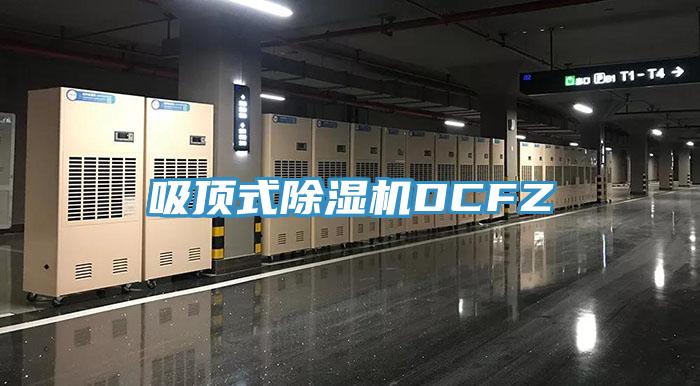 吸頂式除濕機DCFZ