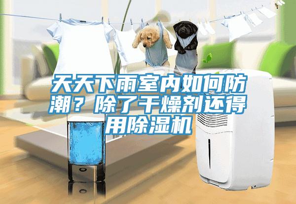 天天下雨室內(nèi)如何防潮？除了干燥劑還得用除濕機(jī)