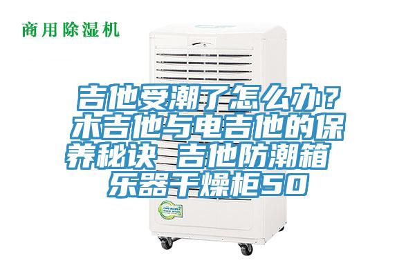 吉他受潮了怎么辦？木吉他與電吉他的保養(yǎng)秘訣 吉他防潮箱 樂器干燥柜50