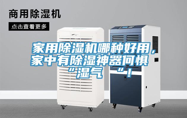 家用除濕機哪種好用，家中有除濕神器何懼 “濕氣 “！