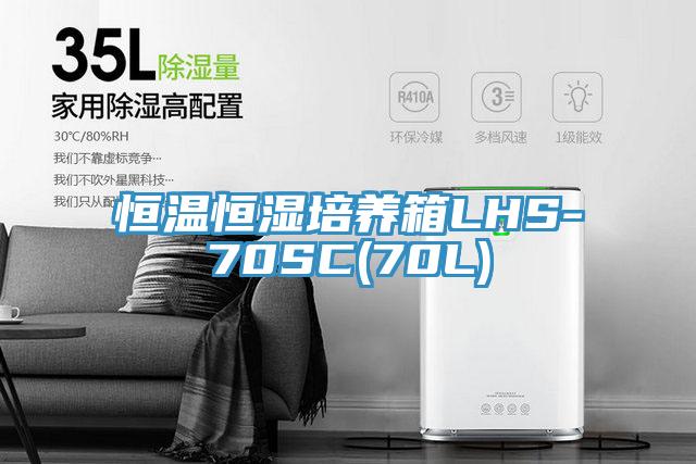 恒溫恒濕培養箱LHS-70SC(70L)