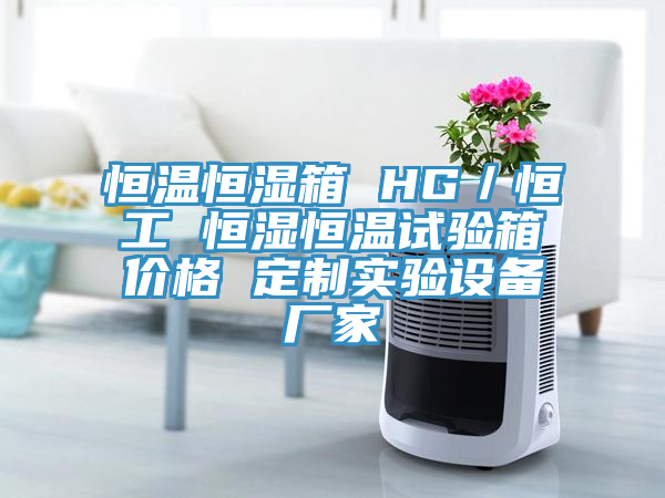 恒溫恒濕箱 HG／恒工 恒濕恒溫試驗箱價格 定制實驗設備廠家