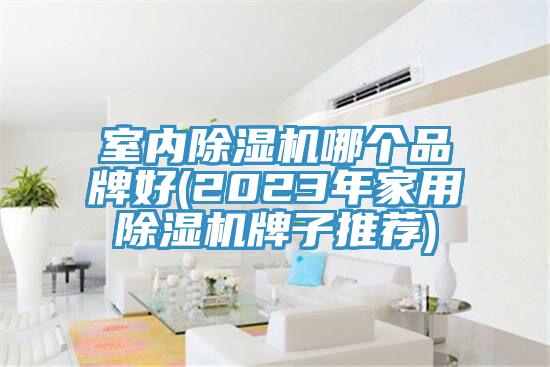 室內除濕機哪個品牌好(2023年家用除濕機牌子推薦)