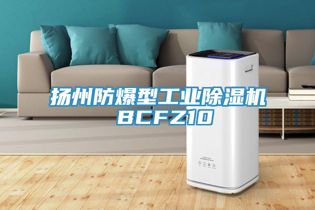 揚州防爆型工業除濕機 BCFZ10