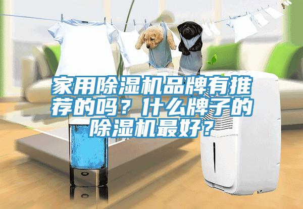 家用除濕機品牌有推薦的嗎？什么牌子的除濕機最好？