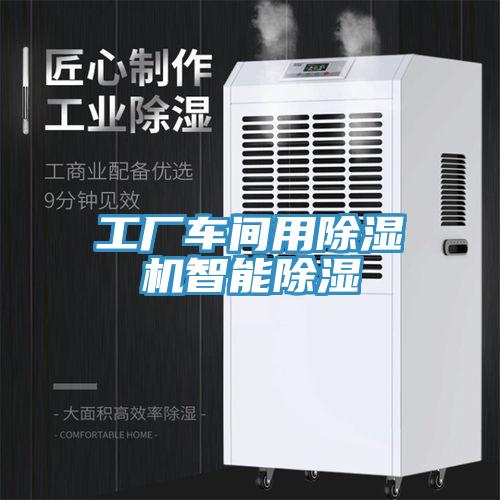 工廠車(chē)間用除濕機(jī)智能除濕