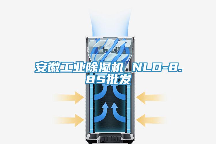 安徽工業(yè)除濕機(jī) NLD-8.8S批發(fā)