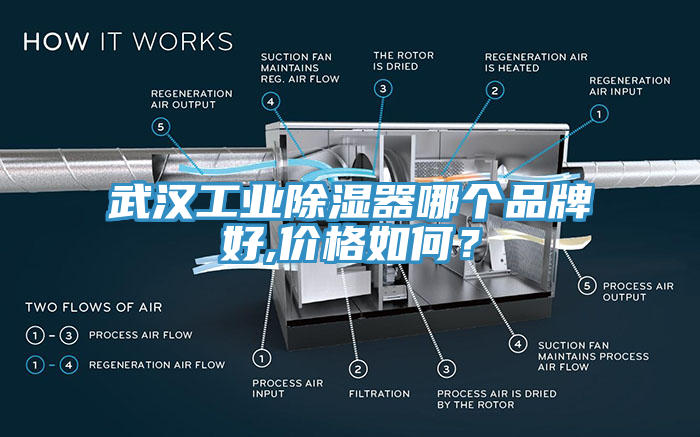 武漢工業(yè)除濕器哪個品牌好,價格如何？