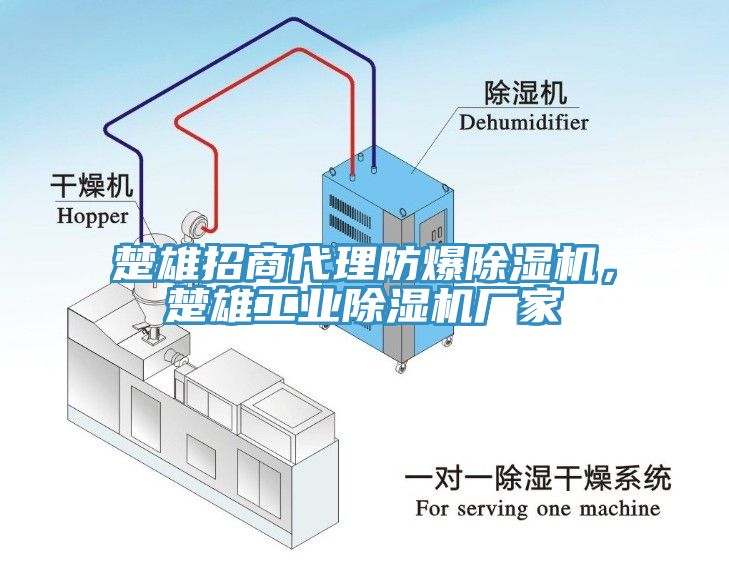 楚雄招商代理防爆除濕機，楚雄工業除濕機廠家