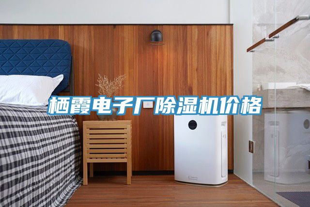 棲霞電子廠除濕機價格