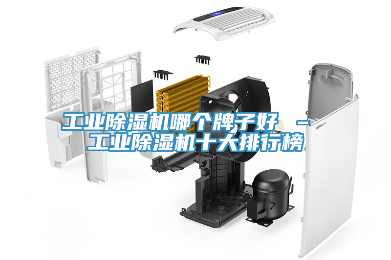 工業除濕機哪個牌子好 – 工業除濕機十大排行榜