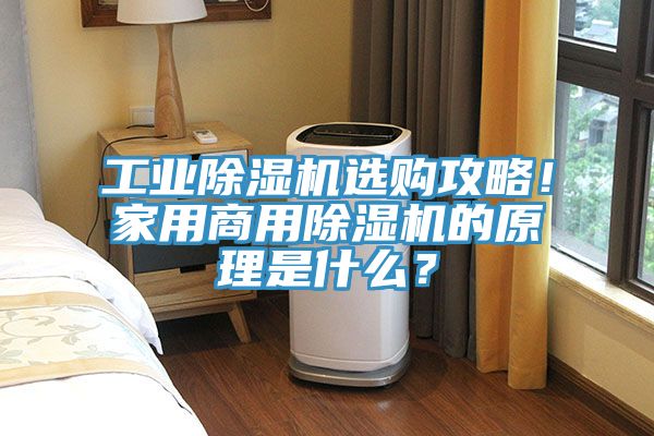 工業除濕機選購攻略！家用商用除濕機的原理是什么？