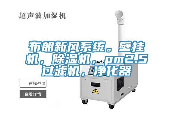 布朗新風系統。壁掛機，除濕機，pm2.5過濾機，凈化器