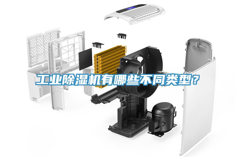 工業除濕機有哪些不同類型？