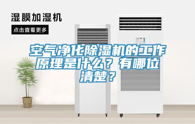 空氣凈化除濕機的工作原理是什么？有哪位清楚？