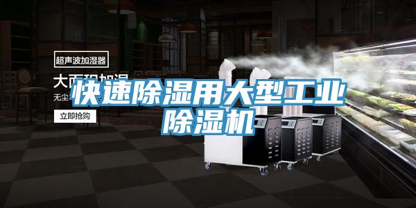 快速除濕用大型工業除濕機