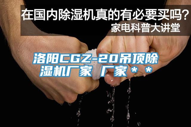 洛陽(yáng)CGZ-20吊頂除濕機(jī)廠家 廠家＊＊