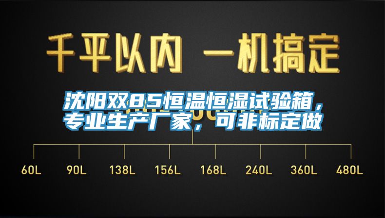 沈陽雙85恒溫恒濕試驗箱，專業生產廠家，可非標定做