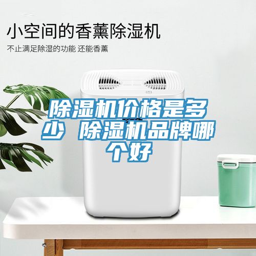 除濕機(jī)價格是多少 除濕機(jī)品牌哪個好