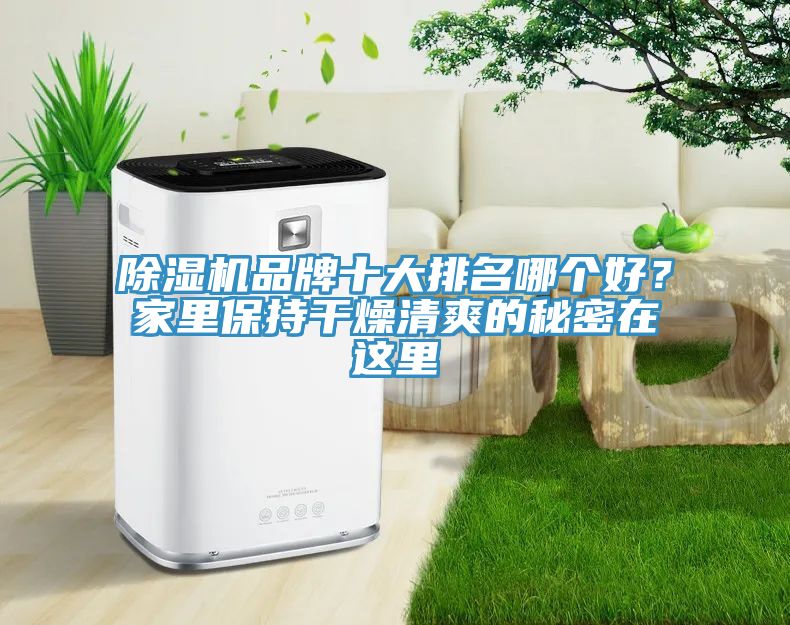 除濕機(jī)品牌十大排名哪個(gè)好？家里保持干燥清爽的秘密在這里