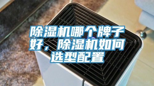 除濕機哪個牌子好，除濕機如何選型配置