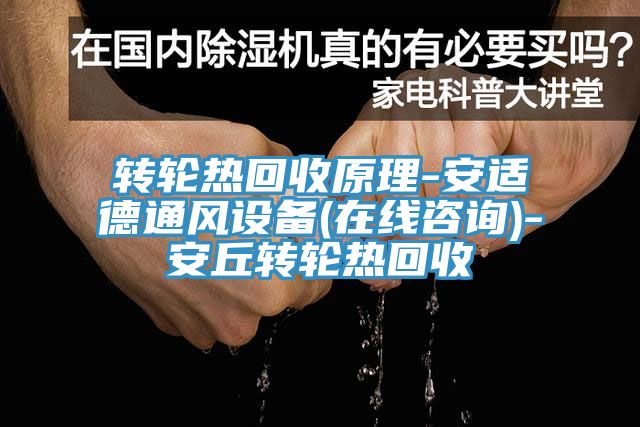 轉輪熱回收原理-安適德通風設備(在線咨詢)-安丘轉輪熱回收