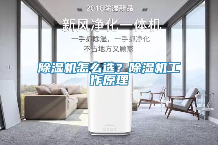 除濕機怎么選？除濕機工作原理