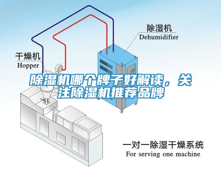 除濕機哪個牌子好解讀，關注除濕機推薦品牌