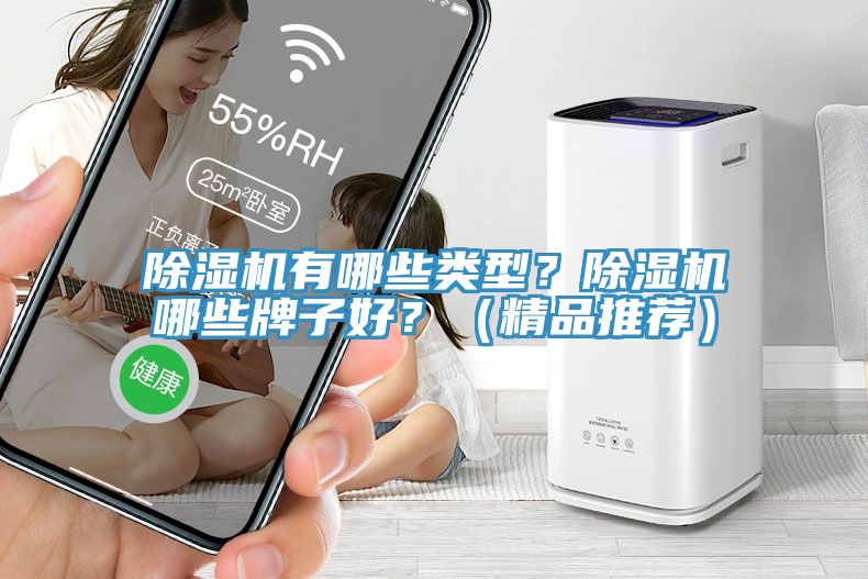 除濕機有哪些類型？除濕機哪些牌子好？（精品推薦）